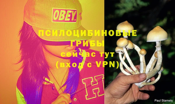 ALPHA PVP Баксан