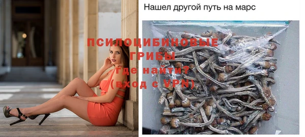 ALPHA PVP Баксан