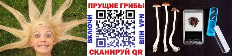 shop телеграм  OMG зеркало  Печора  купить   Галлюциногенные грибы мицелий 