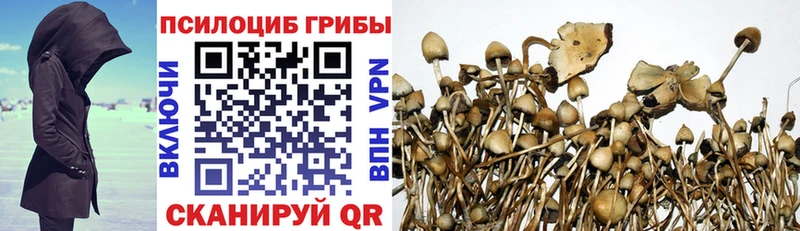 Псилоцибиновые грибы GOLDEN TEACHER Печора